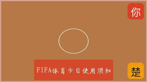 FIFA体育今日使用须知